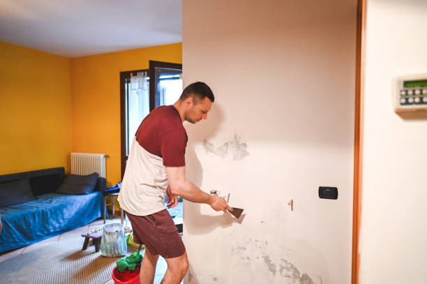 Best Emergency Mold Remediation in Wakefield, MI